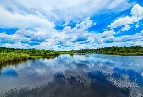 192 Lazy Bee Ln, Green Pond, SC 29446
