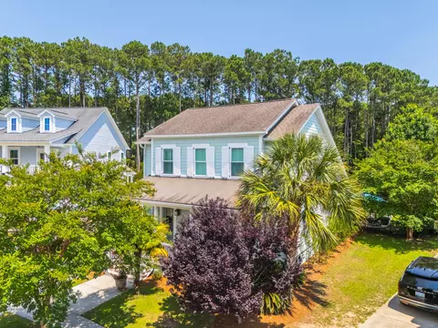 View/Area - 3732 Abercrombie Ct, Mount Pleasant, SC 29466 photo 3 of 21