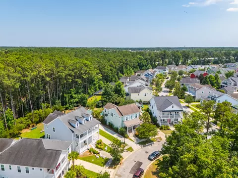 View/Area - 3732 Abercrombie Ct, Mount Pleasant, SC 29466 photo 5 of 21