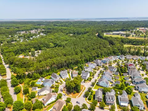 View/Area - 3732 Abercrombie Ct, Mount Pleasant, SC 29466 photo 16 of 21