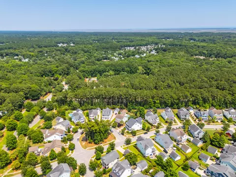 View/Area - 3732 Abercrombie Ct, Mount Pleasant, SC 29466 photo 17 of 21