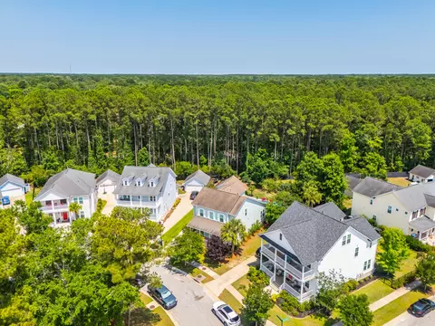 View/Area - 3732 Abercrombie Ct, Mount Pleasant, SC 29466 photo 6 of 21