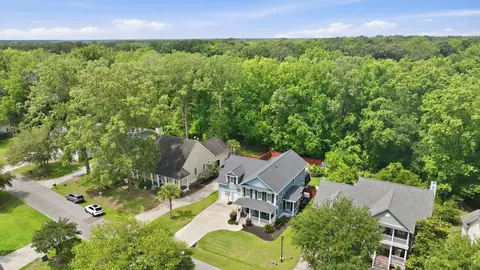 View/Area - 1151 Quick Rabbit Loop, Charleston, SC 29414 photo 1 of 7