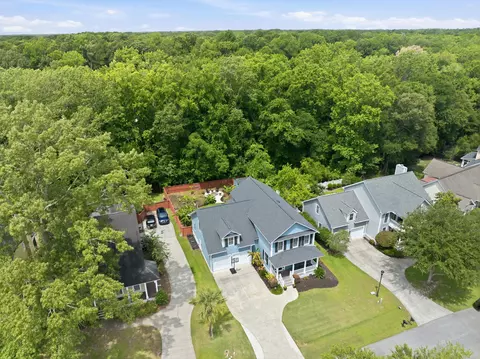 View/Area - 1151 Quick Rabbit Loop, Charleston, SC 29414 photo 4 of 7