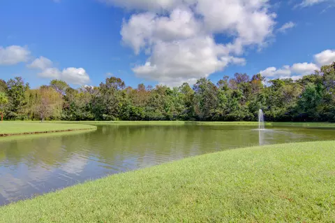 View/Area - 1151 Quick Rabbit Loop, Charleston, SC 29414 photo 7 of 7