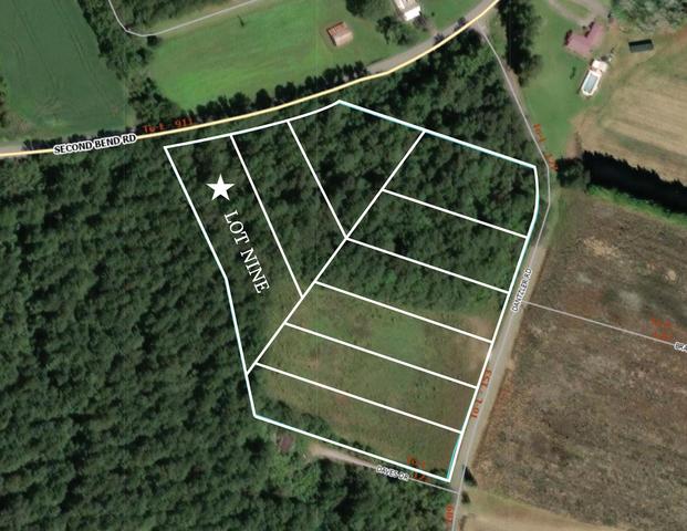 lot9 2nd Bend Rd, Harleyville, SC 29448