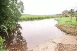 0 Bolen Point Ave, Green Pond, SC 29446