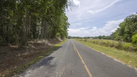 1 Joseph Lemon And Dingle Rd #LOT 1, Manning, SC 29102