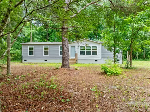 193 Mott Dr, Cope, SC 29038 photo 2