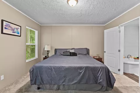 193 Mott Dr, Cope, SC 29038 photo 13