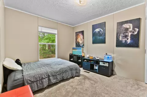 193 Mott Dr, Cope, SC 29038 photo 18