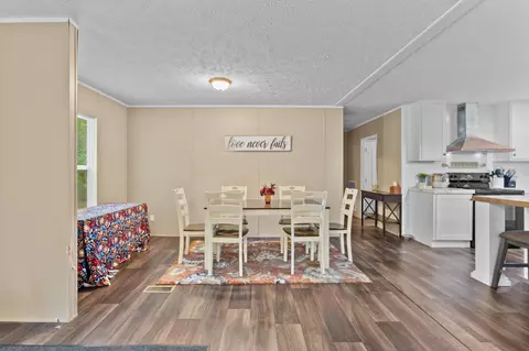 193 Mott Dr, Cope, SC 29038 photo 7