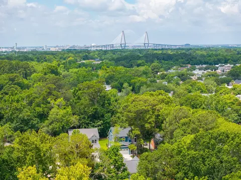 View/Area - 717 Eagle St, Mount Pleasant, SC 29464 photo 1 of 13