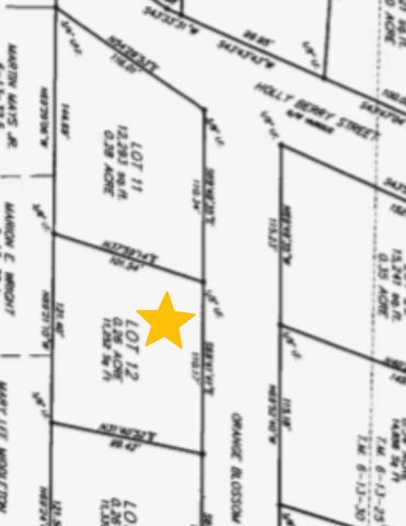 0 Orange Blossom St, Andrews, SC 29510