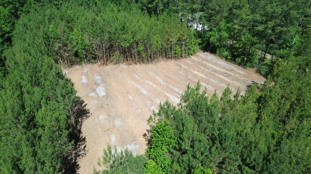 1 Highway 311, Cross, SC 29436