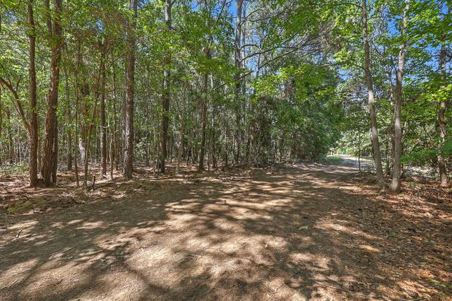 lot6 Nelson View Dr, Mount Pleasant, SC 29429