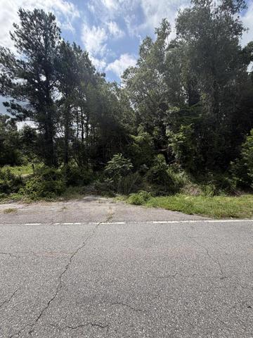 0 Norway Rd, Orangeburg, SC 29115