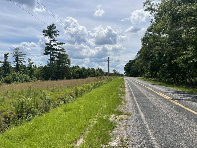 245 Wild Turkey State Rd S-38-465, Cameron, SC 29030