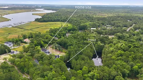 View/Area - 255 Madison Dr, Georgetown, SC 29440 photo 4 of 21