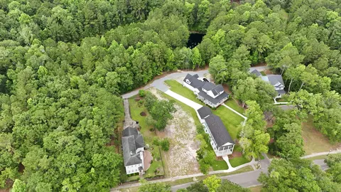 View/Area - 255 Madison Dr, Georgetown, SC 29440 photo 17 of 21