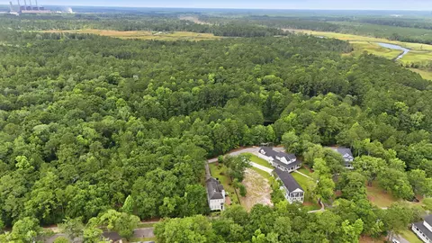 View/Area - 255 Madison Dr, Georgetown, SC 29440 photo 18 of 21