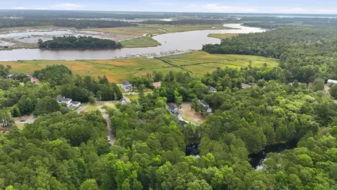 View/Area - 255 Madison Dr, Georgetown, SC 29440 photo 11 of 21