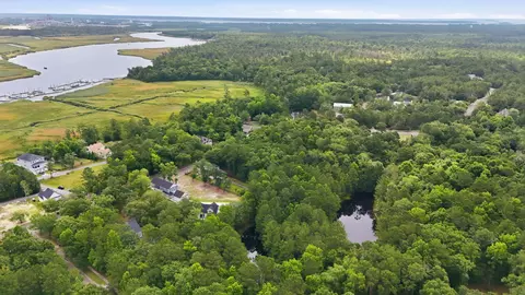 View/Area - 255 Madison Dr, Georgetown, SC 29440 photo 12 of 21