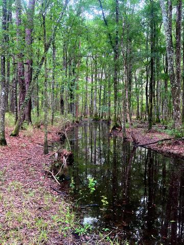 2150 Hughes Dr, Cottageville, SC 29435