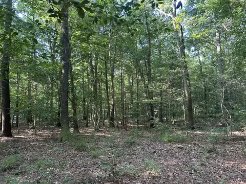 0 Swamp Fox Dr, Summerville, SC 29485