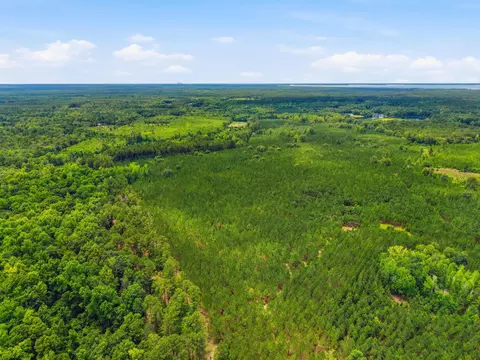 1530 Catfish Ln, Manning, SC 29102