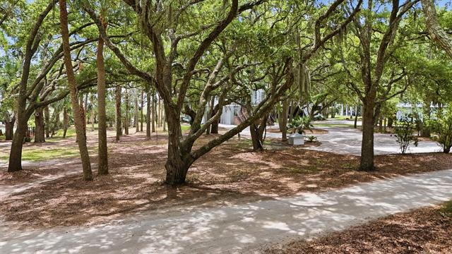 14 Hammocks Way, Edisto Island, SC 29438