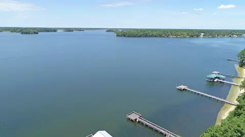 View/Area - 1083 Copperhead Rd, Manning, SC 29102 photo 5 of 14