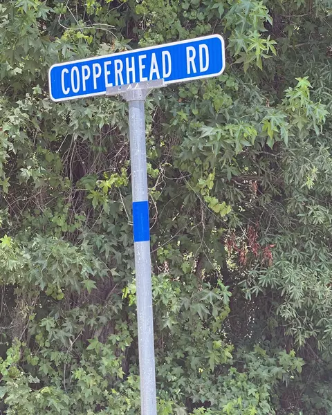Other - 1083 Copperhead Rd, Manning, SC 29102 photo 22 of 22