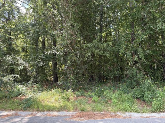 308 E Poplar Branch Dr, Moncks Corner, SC 29461