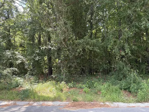 310 E Poplar Branch Dr, Moncks Corner, SC 29461 photo 1