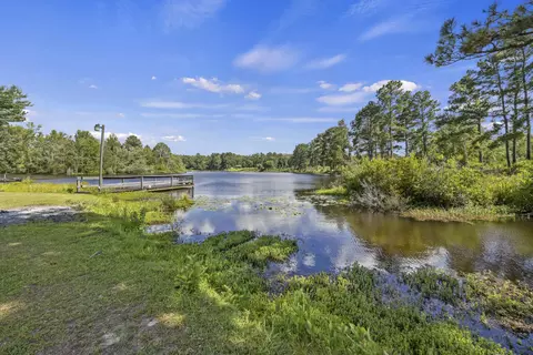 126 Towhee Cir, Orangeburg, SC 29118