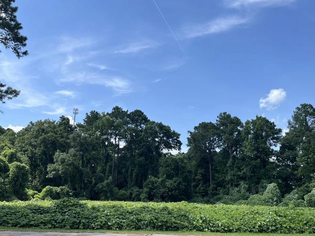 0 Low Country Hwy, Ehrhardt, SC 29081