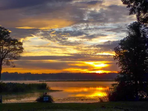 View/Area - 1805 Ringneck Rd, Moncks Corner, SC 29461 photo 7 of 7