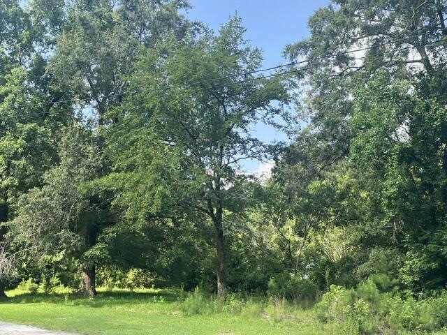 0 Parsons Rd, Summerville, SC 29483