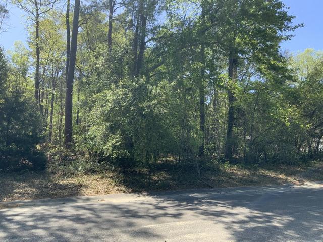 0 Ash Hill Dr, Eutawville, SC 29048