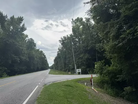 0 Haseldon Dr, Manning, SC 29102 photo 6