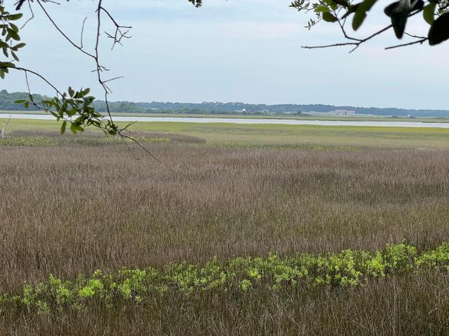 2017 Paul Chavis Lane Charleseton Ln, Charleston, SC 29412