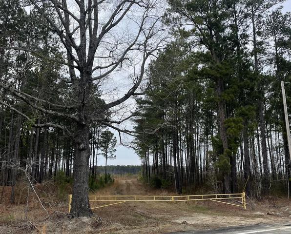 tbd Rocky Ford Rd, Salters, SC 29590