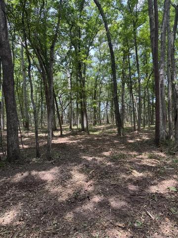 00 Beagle Club Rd, Meggett, SC 29449