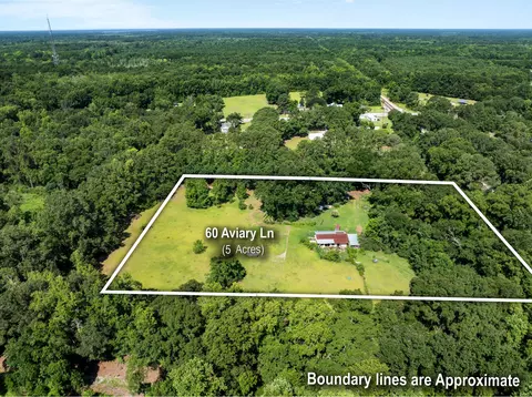 60 Aviary Ln, Green Pond, SC 29446