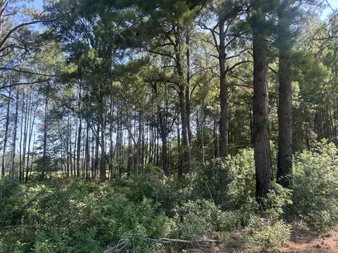 4 Trojan Rd, Cross, SC 29436 photo 23