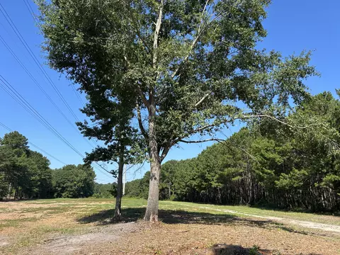 4 Trojan Rd, Cross, SC 29436 photo 21