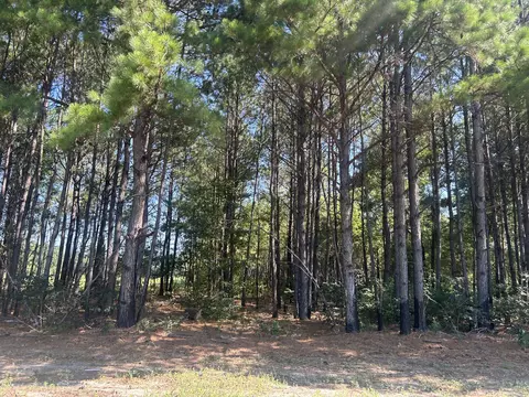 4 Trojan Rd, Cross, SC 29436 photo 3