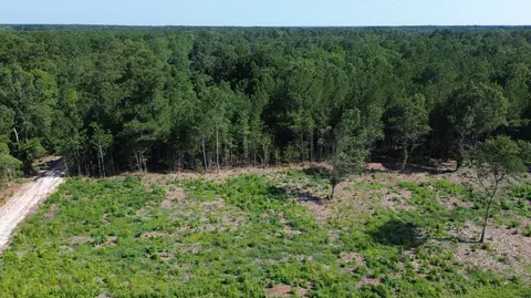 4 Trojan Rd, Cross, SC 29436 photo 14