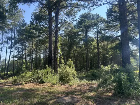 4 Trojan Rd, Cross, SC 29436 photo 22